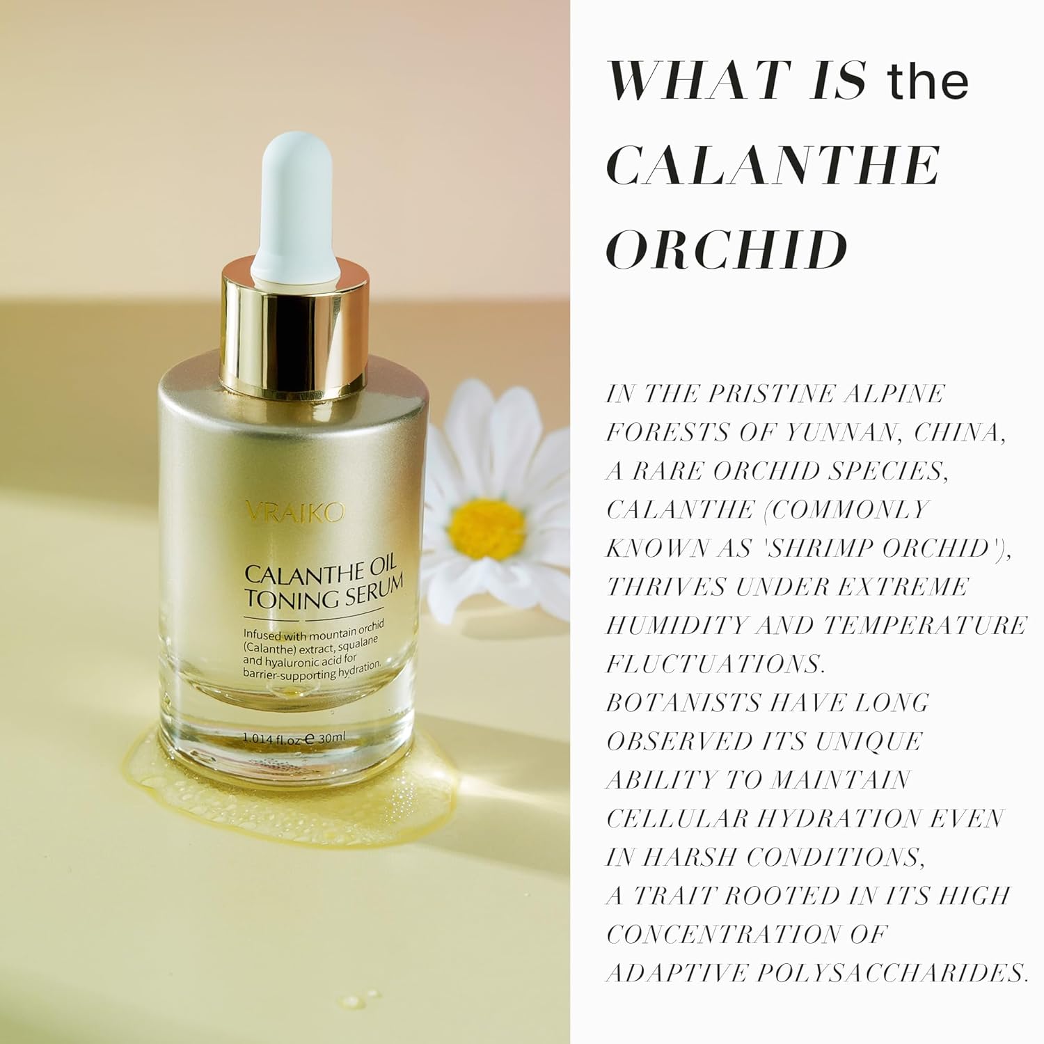 VRAIKO Gua Sha Face Oil Serum | 1st High-Altitude Calanthe Orchid Product | Detox, Plump, Anti-Oxidant, Soothing | Alpine Botanic, Cruelty Free, Natural, 1 fl oz - Image 8