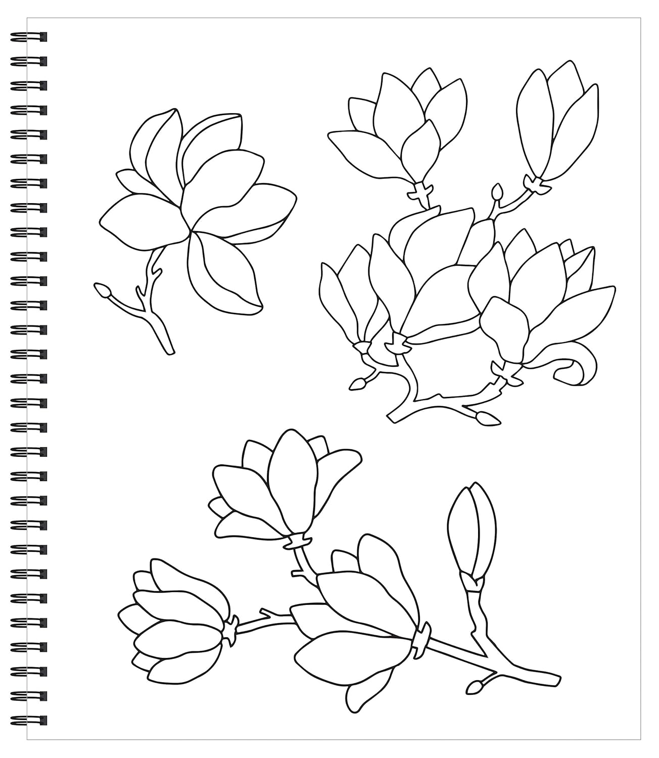Large Print Easy Color & Frame - Calm (Stress Free Coloring Book) - Image 3