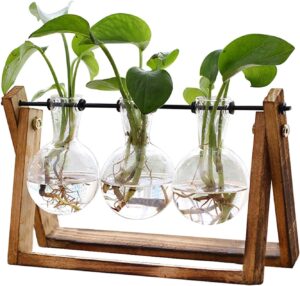 XXXFLOWER Plant Terrarium with Wood...