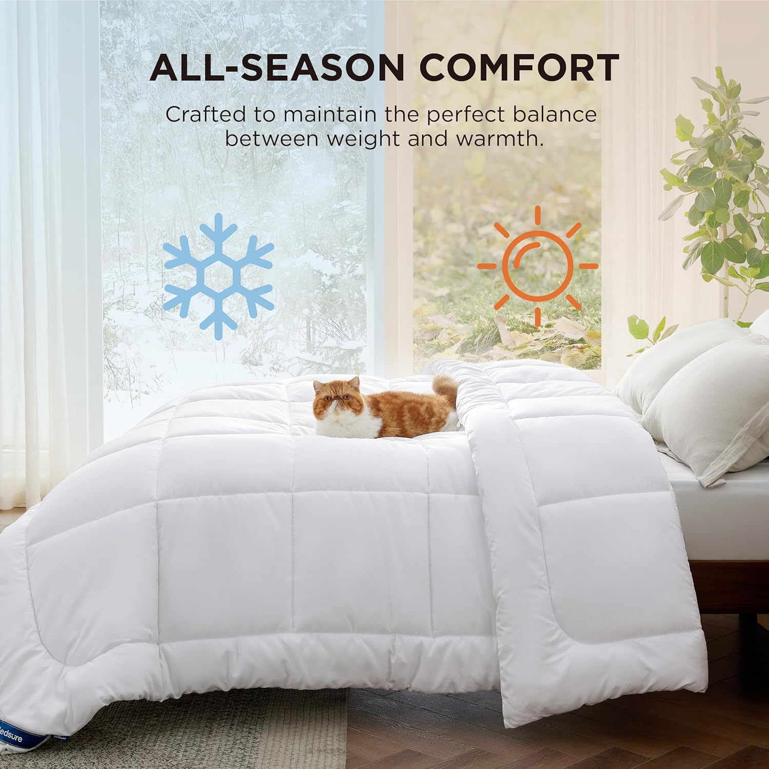 Bedsure Comforter Duvet Insert - Quilted Comforters Queen Size, All Season Duvet, GentleSoft Down Alternative Bedding Blanket, with 8 Tabs, Gifts for Women/Men, White, Queen 88 x 88 Inches - Image 4