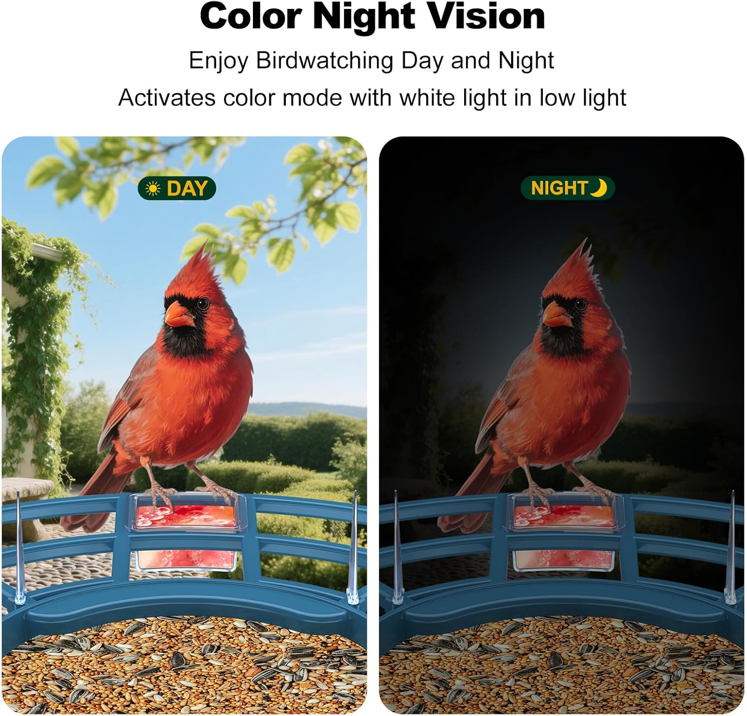 Bird Feeder with Camera,FHD Live View Video,Smart WiFi Bird Feeder Camera with Solar Panel,AI Birds Identification,IP65 Waterproof Birds House with Cam,Instant Arrival Alerts,Ideal Gift for Fathers - Image 7