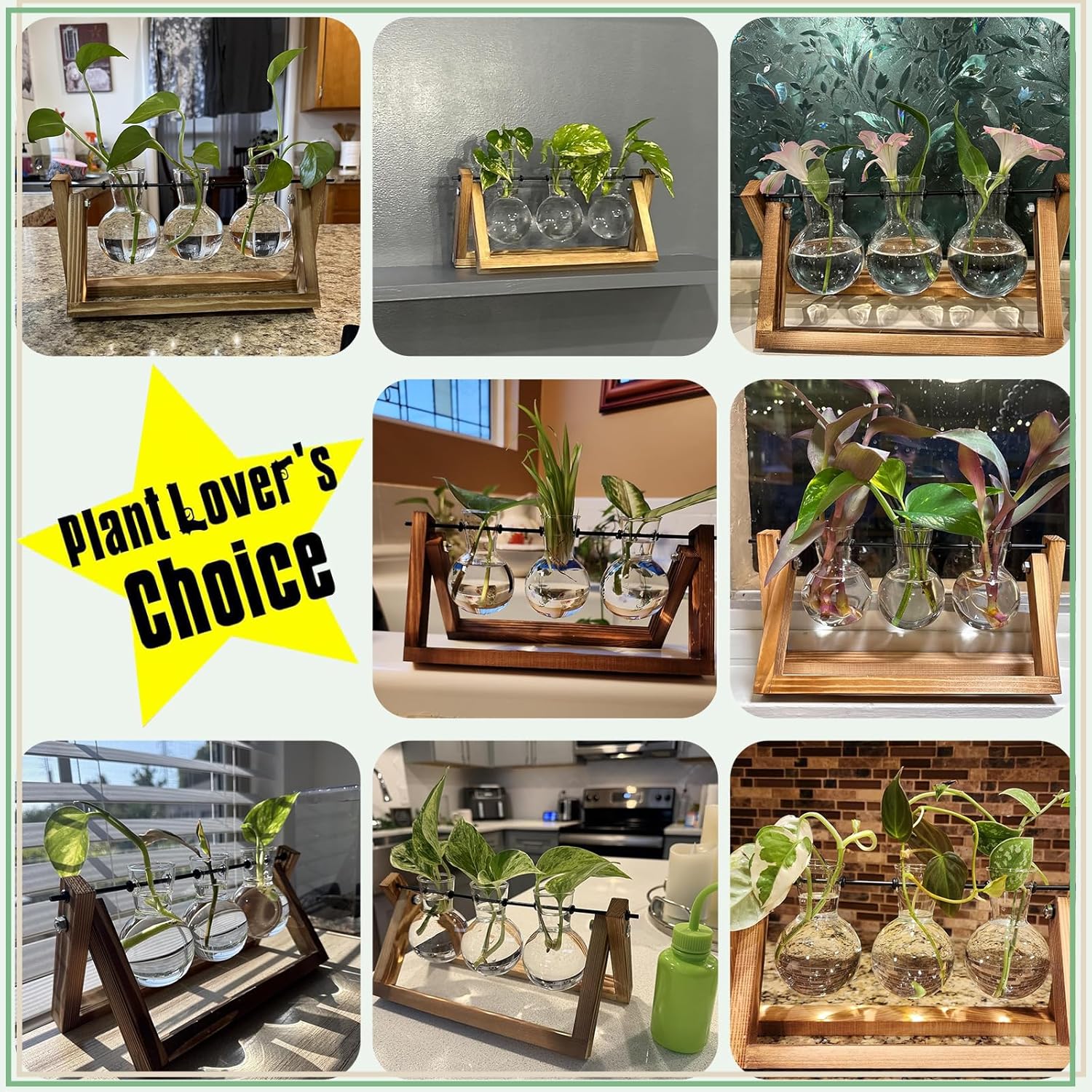 XXXFLOWER Plant Terrarium with Wooden Stand, Air Planter Bulb Glass Vase Metal Swivel Holder Retro Tabletop for Hydroponics Home Garden Office Decoration - 3 Bulb Vase - Image 6
