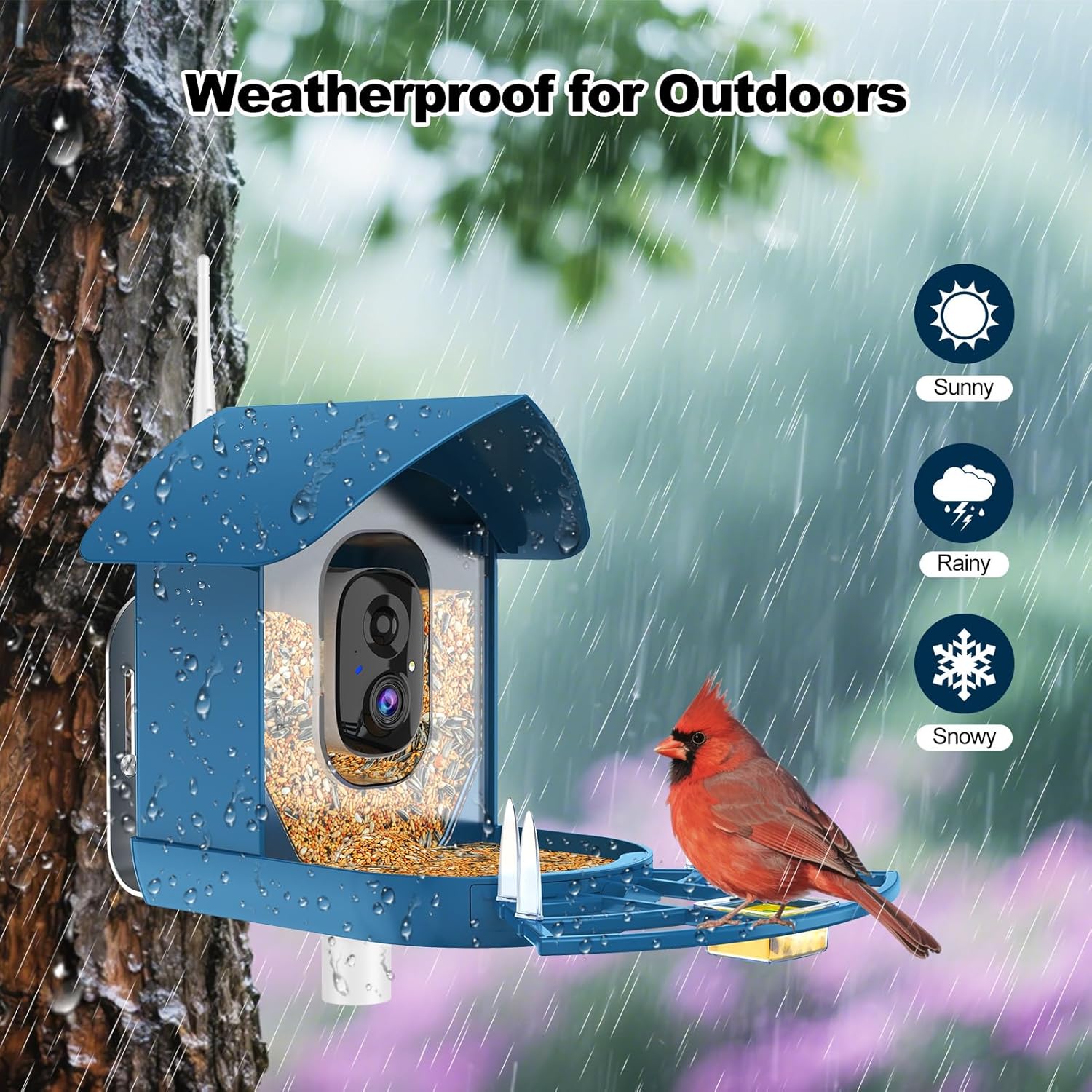 Bird Feeder with Camera,FHD Live View Video,Smart WiFi Bird Feeder Camera with Solar Panel,AI Birds Identification,IP65 Waterproof Birds House with Cam,Instant Arrival Alerts,Ideal Gift for Fathers - Image 5